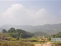 震动陈氏家族的天堂山古墓之谜（下）