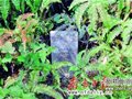 陈凤台:父子五进士后裔多才人
