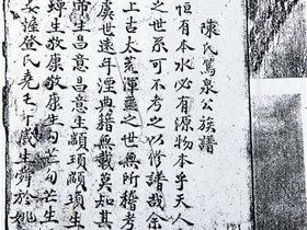 阳江陈氏笃泉公族谱